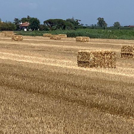 Agriturismo Ca' Alleata カオルレ エクステリア 写真