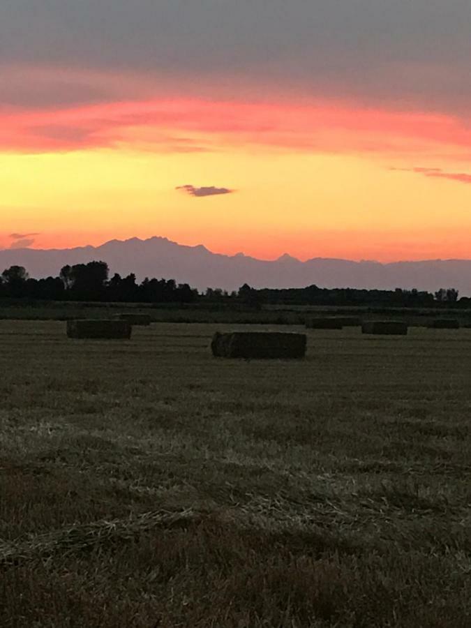 Agriturismo Ca' Alleata カオルレ エクステリア 写真